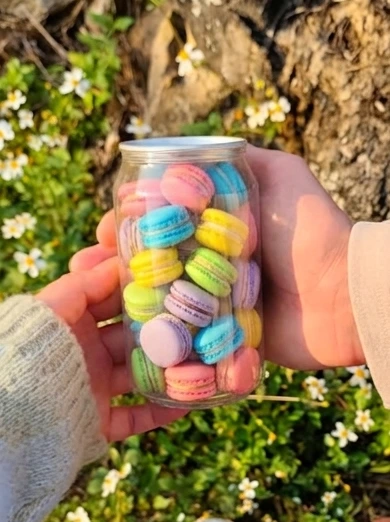 Macaron 3_zoom